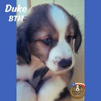 processed/5c0a60d1-2f59-4e7b-9318-65265e569bce/listing/dcde2d12-061f-4f41-a6c7-92ba850b80bf/0759bd6f-5d10-45d3-9807-eccd7e0fc560