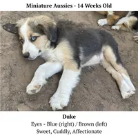 processed/5c0a60d1-2f59-4e7b-9318-65265e569bce/listing/dcde2d12-061f-4f41-a6c7-92ba850b80bf/35cab21b-400c-402b-887e-02d3fd71fbad