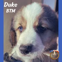 processed/5c0a60d1-2f59-4e7b-9318-65265e569bce/listing/dcde2d12-061f-4f41-a6c7-92ba850b80bf/39588f31-08b2-49f5-98f7-cc1b38bdd9da