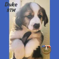 processed/5c0a60d1-2f59-4e7b-9318-65265e569bce/listing/dcde2d12-061f-4f41-a6c7-92ba850b80bf/92575118-eebc-4c79-8c1b-b73d6c85e43a