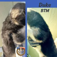 processed/5c0a60d1-2f59-4e7b-9318-65265e569bce/listing/dcde2d12-061f-4f41-a6c7-92ba850b80bf/9cce26c3-e9c6-43f9-9b01-75e70120887d