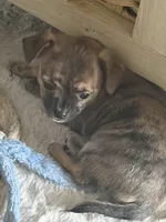 processed/5c0b6f83-4a7f-46c9-b8cc-aafb846b14f6/listing/47a2bd28-6359-4792-8c03-03b3dd4bc3ed/12888a11-4861-479b-b757-04e118194d95