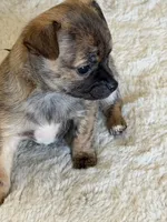 processed/5c0b6f83-4a7f-46c9-b8cc-aafb846b14f6/listing/47a2bd28-6359-4792-8c03-03b3dd4bc3ed/242374b5-fa84-4b81-a6db-737006d366c7