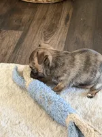 processed/5c0b6f83-4a7f-46c9-b8cc-aafb846b14f6/listing/47a2bd28-6359-4792-8c03-03b3dd4bc3ed/62807054-b6da-4115-9d1b-2f6d003d5f45