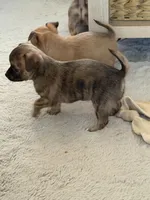 processed/5c0b6f83-4a7f-46c9-b8cc-aafb846b14f6/listing/47a2bd28-6359-4792-8c03-03b3dd4bc3ed/f007e164-e6dc-4427-952c-e4343925d10b