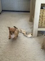 processed/5c0b6f83-4a7f-46c9-b8cc-aafb846b14f6/listing/4f7e0741-0deb-41ee-b5fe-037ea5f127b7/2a0f8720-1f36-4760-800f-7e95a9601cd8