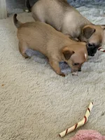 processed/5c0b6f83-4a7f-46c9-b8cc-aafb846b14f6/listing/4f7e0741-0deb-41ee-b5fe-037ea5f127b7/3550b08a-4ccc-4188-b964-c9c19b92aca5