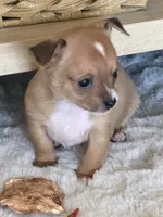 processed/5c0b6f83-4a7f-46c9-b8cc-aafb846b14f6/listing/4f7e0741-0deb-41ee-b5fe-037ea5f127b7/e733b731-2687-490b-9fb5-1df841dbac75