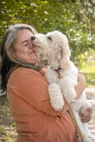 Charlie Brown, a male Goldendoodle for sale in Seffner, FL – 9 of 10