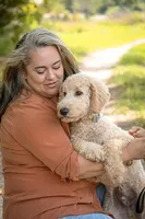 Moose, a male Goldendoodle for sale in Seffner, FL – 2 of 3