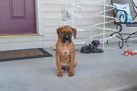 processed/5c194308-8b77-4470-9c79-7e4ecf8a469c/listing/4a3aaf2c-1e3b-4ba1-846e-6893da2f3930/6ae24eb2-d689-4ccf-85e6-9affaf0c8bc1