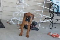 processed/5c194308-8b77-4470-9c79-7e4ecf8a469c/listing/4a3aaf2c-1e3b-4ba1-846e-6893da2f3930/6c37fb56-3f68-4914-9b68-559984e411ec