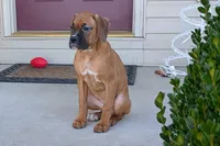 processed/5c194308-8b77-4470-9c79-7e4ecf8a469c/listing/4a3aaf2c-1e3b-4ba1-846e-6893da2f3930/72b9e232-447a-4a18-a6b9-8c5abd816164