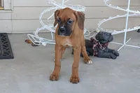 processed/5c194308-8b77-4470-9c79-7e4ecf8a469c/listing/4a3aaf2c-1e3b-4ba1-846e-6893da2f3930/7ff7fb48-d606-43eb-a70d-f44409d75327