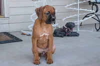 processed/5c194308-8b77-4470-9c79-7e4ecf8a469c/listing/4a3aaf2c-1e3b-4ba1-846e-6893da2f3930/81eff187-f7ec-4dea-aa76-4e30f54627e7