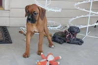 processed/5c194308-8b77-4470-9c79-7e4ecf8a469c/listing/4a3aaf2c-1e3b-4ba1-846e-6893da2f3930/ada9337b-47d4-48fe-8dee-ce60f3f4c664