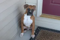 processed/5c194308-8b77-4470-9c79-7e4ecf8a469c/listing/4d8bf5f0-4fed-4367-bcd2-462fe4e1e296/486fec8b-5a56-4327-afe1-92bee05676fc