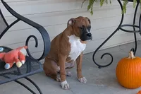 processed/5c194308-8b77-4470-9c79-7e4ecf8a469c/listing/4d8bf5f0-4fed-4367-bcd2-462fe4e1e296/604bf544-ecbc-476b-a7c3-2a5b72871c5a