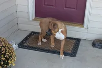 processed/5c194308-8b77-4470-9c79-7e4ecf8a469c/listing/4d8bf5f0-4fed-4367-bcd2-462fe4e1e296/621762ce-2cc3-4624-9249-3b0ba4827330