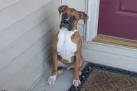 processed/5c194308-8b77-4470-9c79-7e4ecf8a469c/listing/4d8bf5f0-4fed-4367-bcd2-462fe4e1e296/a1d6a8b3-87f0-44a8-91e7-0c6740166288