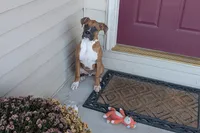 processed/5c194308-8b77-4470-9c79-7e4ecf8a469c/listing/4d8bf5f0-4fed-4367-bcd2-462fe4e1e296/cd6d4a65-97b6-4fa3-a746-ae9647ad0fa2