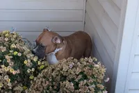 processed/5c194308-8b77-4470-9c79-7e4ecf8a469c/listing/4d8bf5f0-4fed-4367-bcd2-462fe4e1e296/fd5c5ae7-21cd-4a65-90b0-1626223edd04