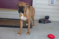 processed/5c194308-8b77-4470-9c79-7e4ecf8a469c/listing/4f2527fe-9289-4b81-a9d2-b3060d7d850a/086387b8-e515-4fd7-a4f2-7aab9c54e977