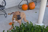 processed/5c194308-8b77-4470-9c79-7e4ecf8a469c/listing/4f2527fe-9289-4b81-a9d2-b3060d7d850a/1f9231b4-7cb8-4549-bd6a-d08527428ca8