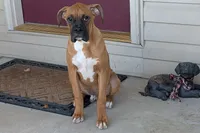 processed/5c194308-8b77-4470-9c79-7e4ecf8a469c/listing/4f2527fe-9289-4b81-a9d2-b3060d7d850a/348c3db0-15f5-467a-b89f-3692aa249701