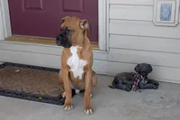 processed/5c194308-8b77-4470-9c79-7e4ecf8a469c/listing/4f2527fe-9289-4b81-a9d2-b3060d7d850a/423a6465-3124-4149-91ba-37307c06e1e7