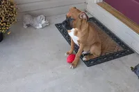 processed/5c194308-8b77-4470-9c79-7e4ecf8a469c/listing/4f2527fe-9289-4b81-a9d2-b3060d7d850a/44baaca1-2cb7-41f5-a604-84ffebf86788