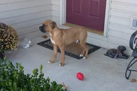 processed/5c194308-8b77-4470-9c79-7e4ecf8a469c/listing/4f2527fe-9289-4b81-a9d2-b3060d7d850a/4b768963-47e4-4ed8-9026-aa02e906edca