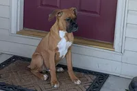 processed/5c194308-8b77-4470-9c79-7e4ecf8a469c/listing/4f2527fe-9289-4b81-a9d2-b3060d7d850a/69ed6385-f44c-4078-9147-bedbe83c4c4f