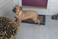 processed/5c194308-8b77-4470-9c79-7e4ecf8a469c/listing/4f2527fe-9289-4b81-a9d2-b3060d7d850a/dd3c5f03-7718-42cd-a92e-c13af6e7fa14