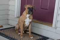 processed/5c194308-8b77-4470-9c79-7e4ecf8a469c/listing/4f2527fe-9289-4b81-a9d2-b3060d7d850a/eff88ce8-e92b-4a1f-adad-9405e24edc1b