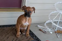 processed/5c194308-8b77-4470-9c79-7e4ecf8a469c/listing/8db0f55b-8dba-42ee-ae81-01749ab848e5/1b98ef8b-c2a3-46ca-96ad-f1956a4ecbde