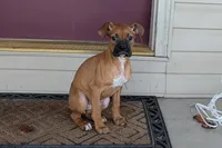 processed/5c194308-8b77-4470-9c79-7e4ecf8a469c/listing/8db0f55b-8dba-42ee-ae81-01749ab848e5/231caa4a-3c0d-4b97-82d7-b03570e1ceaf