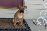 processed/5c194308-8b77-4470-9c79-7e4ecf8a469c/listing/8db0f55b-8dba-42ee-ae81-01749ab848e5/3a68d892-ed98-49d1-b81f-36b4e99a7491