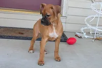 processed/5c194308-8b77-4470-9c79-7e4ecf8a469c/listing/8db0f55b-8dba-42ee-ae81-01749ab848e5/4cc92589-1a27-451d-8aa1-81f89cf44a95