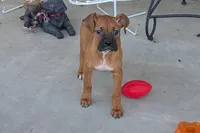 processed/5c194308-8b77-4470-9c79-7e4ecf8a469c/listing/8db0f55b-8dba-42ee-ae81-01749ab848e5/79a90cd9-5366-4e15-98e3-0d950807932f