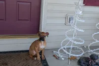 processed/5c194308-8b77-4470-9c79-7e4ecf8a469c/listing/8db0f55b-8dba-42ee-ae81-01749ab848e5/bfdb1242-26cc-4769-897a-b6a084a8eb54