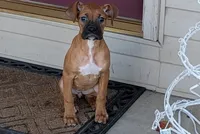 processed/5c194308-8b77-4470-9c79-7e4ecf8a469c/listing/8db0f55b-8dba-42ee-ae81-01749ab848e5/c480d96d-4cf4-42db-a97f-68a1f8bfa9fc