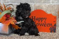 processed/5c194308-8b77-4470-9c79-7e4ecf8a469c/listing/d774c46a-be76-4ec7-81e3-3549719da135/0ad6172a-1697-4331-8256-986239ba35f9