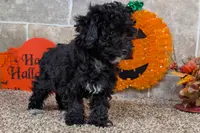 processed/5c194308-8b77-4470-9c79-7e4ecf8a469c/listing/d774c46a-be76-4ec7-81e3-3549719da135/8ae6eefa-dc8b-4e92-bae1-8d9e0e2a4066