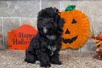 processed/5c194308-8b77-4470-9c79-7e4ecf8a469c/listing/d774c46a-be76-4ec7-81e3-3549719da135/9dadcde2-01d5-48e2-b44d-23a1ac40c327