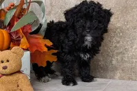 processed/5c194308-8b77-4470-9c79-7e4ecf8a469c/listing/d774c46a-be76-4ec7-81e3-3549719da135/bcdfd35c-bf6a-4fef-85f5-b5bf269437fb