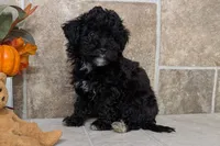 processed/5c194308-8b77-4470-9c79-7e4ecf8a469c/listing/d774c46a-be76-4ec7-81e3-3549719da135/c6eb9f35-8a1e-4acb-b405-1540ecc45bf8