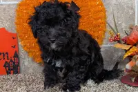 processed/5c194308-8b77-4470-9c79-7e4ecf8a469c/listing/d774c46a-be76-4ec7-81e3-3549719da135/dd4f01cb-2fb8-45f3-84a4-c0a73f7d810c