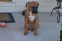 processed/5c194308-8b77-4470-9c79-7e4ecf8a469c/listing/f50b8f03-180e-4925-bc9d-b9f19f6def12/008d6c1e-82f9-4f27-a211-e731167565d3