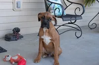 processed/5c194308-8b77-4470-9c79-7e4ecf8a469c/listing/f50b8f03-180e-4925-bc9d-b9f19f6def12/1cf66b05-692e-44c9-93d5-7ba1e37f2746